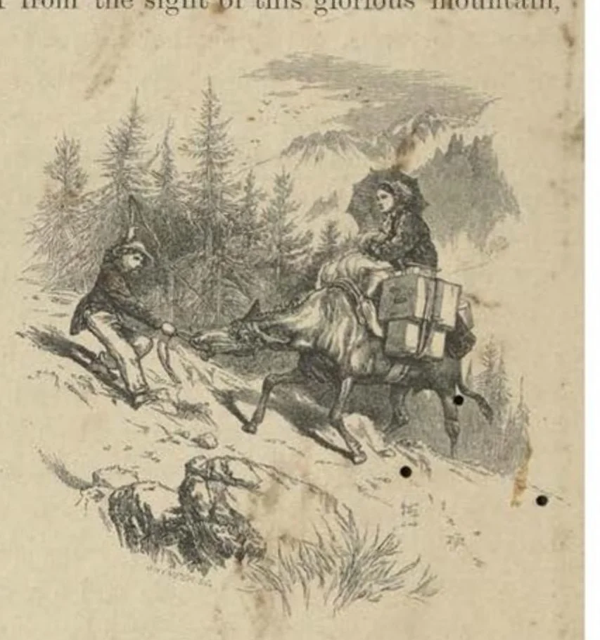 An illustration from Scrambles amongst the Alps in the Years 1860-69, 1871, leaf 31