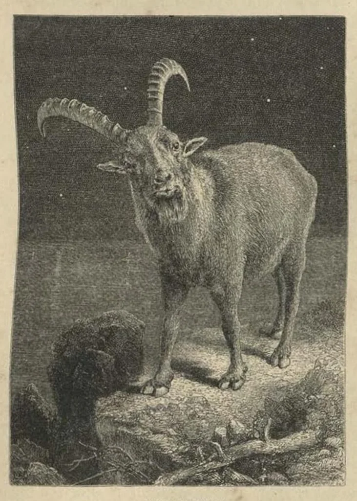 An illustration from Scrambles amongst the Alps in the Years 1860-69, 1871, leaf 350