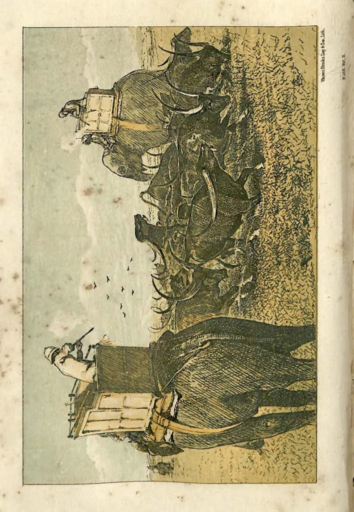 An illustration from Sport in British Burmah, Assam and the Cassyah and Jyntiah Hills, in Two Volumes, Vol. II, 1879, leaf 173