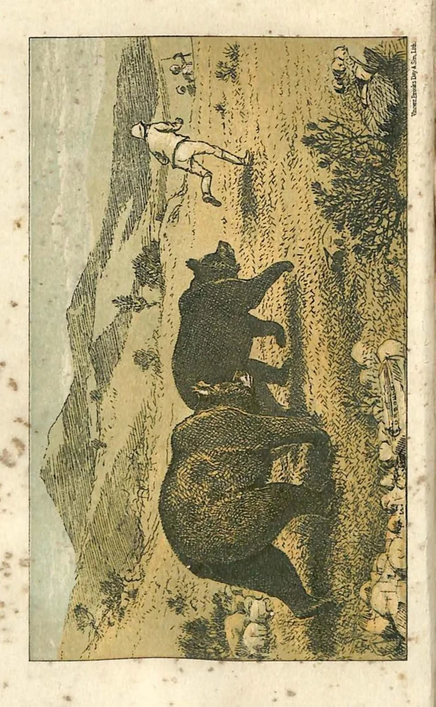 An illustration from Sport in British Burmah, Assam and the Cassyah and Jyntiah Hills, in Two Volumes, Vol. II, 1879, leaf 217
