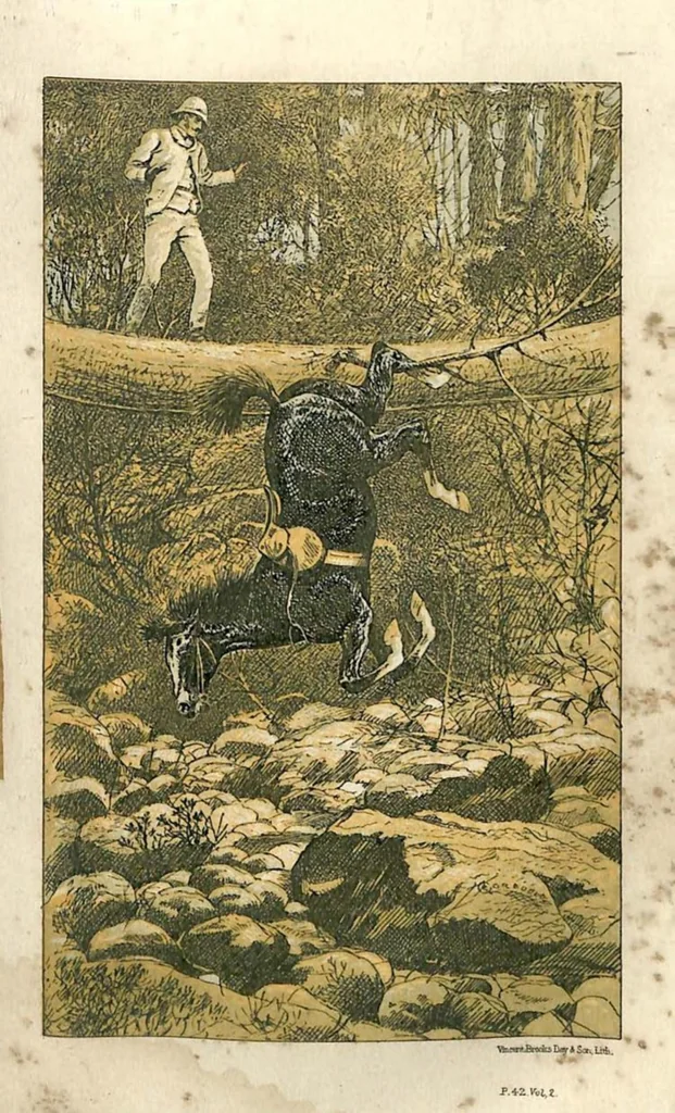 An illustration from Sport in British Burmah, Assam and the Cassyah and Jyntiah Hills, in Two Volumes, Vol. II, 1879, leaf 58