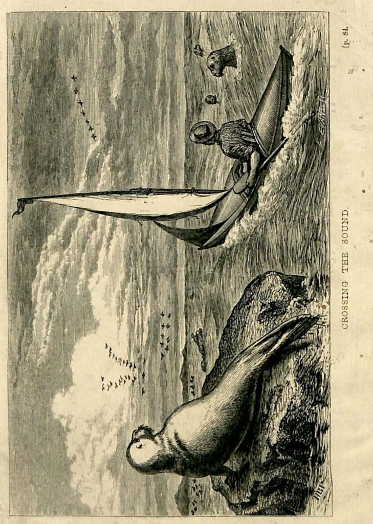 An illustration from Canoe Travelling: Log of a Cruise on the Baltic and Practical Hints on Building and Fitting Canoes, 1871, leaf 3