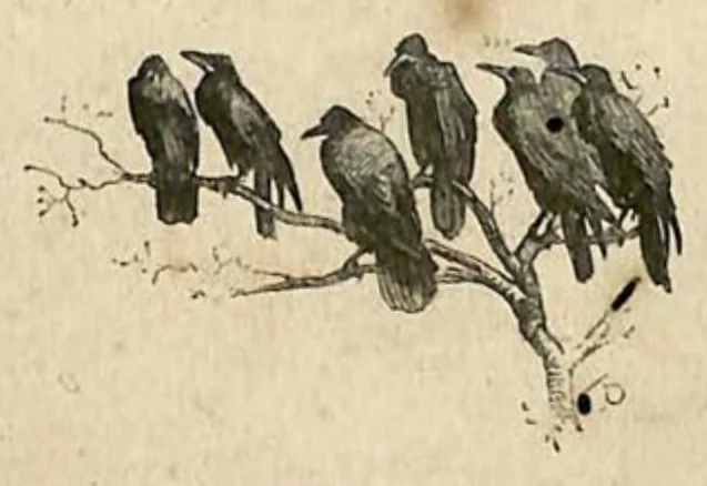 An illustration from Amateur Theatricals, 1879, leaf 12