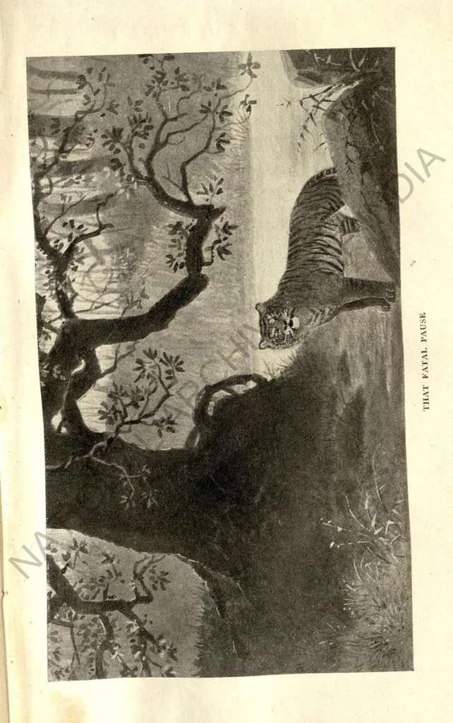 An illustration from Rifle and Romance in the Indian Jungle; a Record of Thirteen Years, 1905, leaf 116