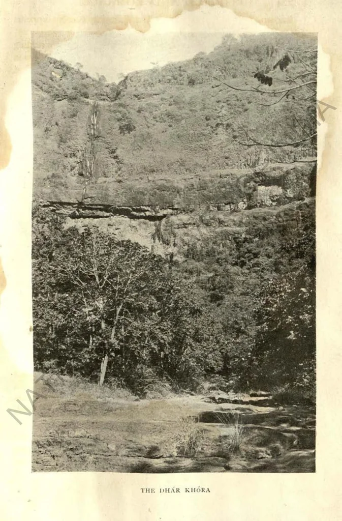 An illustration from Rifle and Romance in the Indian Jungle; a Record of Thirteen Years, 1905, leaf 300