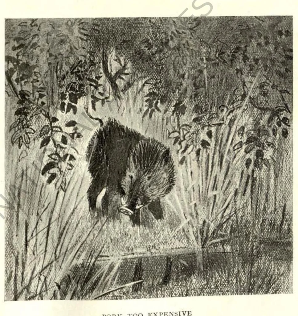An illustration from Rifle and Romance in the Indian Jungle; a Record of Thirteen Years, 1905, leaf 80