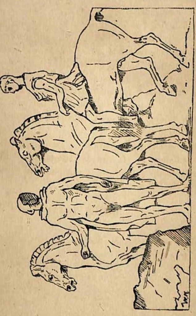 An illustration from The Horse: As He Was, As He Is and As He Ought to be, 1881, leaf 10