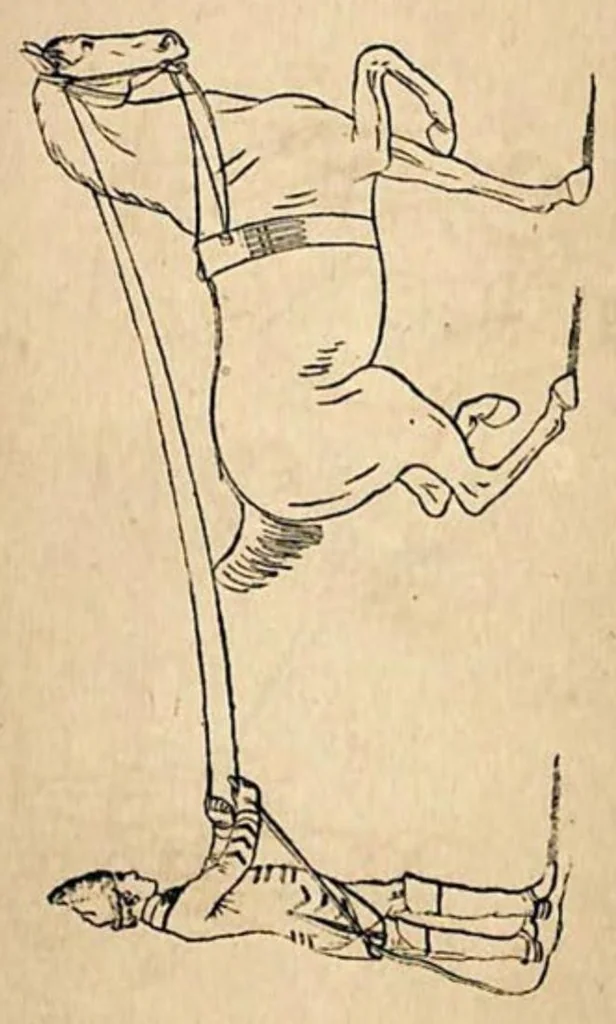 An illustration from The Horse: As He Was, As He Is and As He Ought to be, 1881, leaf 16