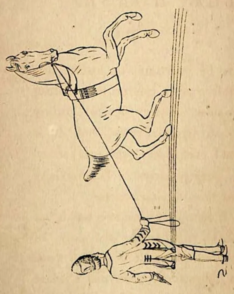 An illustration from The Horse: As He Was, As He Is and As He Ought to be, 1881, leaf 17