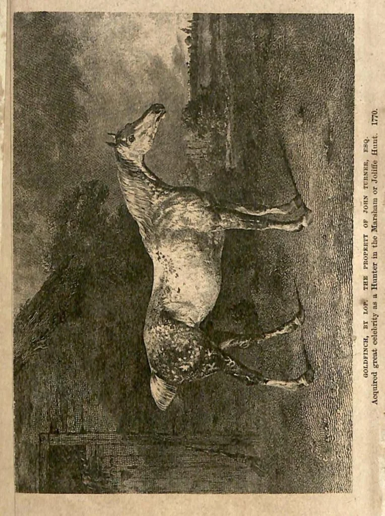 An illustration from The Horse: As He Was, As He Is and As He Ought to be, 1881, leaf 5