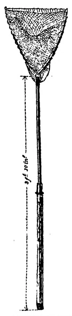 An illustration from Fishing; with contributions from other authors, Pike and other Coarse Fish (the Badminton Library of Sports and Pastimes), 1885, leaf 233