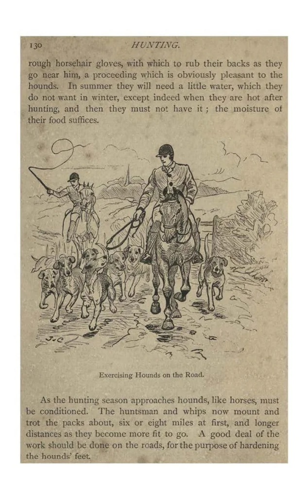 An illustration from Hunting (the Badminton Library of Sports and Pastimes), 1885, leaf 145