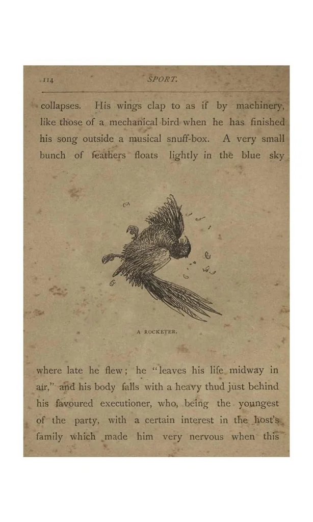 An illustration from Sport; Fox-Huting, Salmon-Fishing, Covert-Shooting, Deer-Stalking, 1885, leaf 153