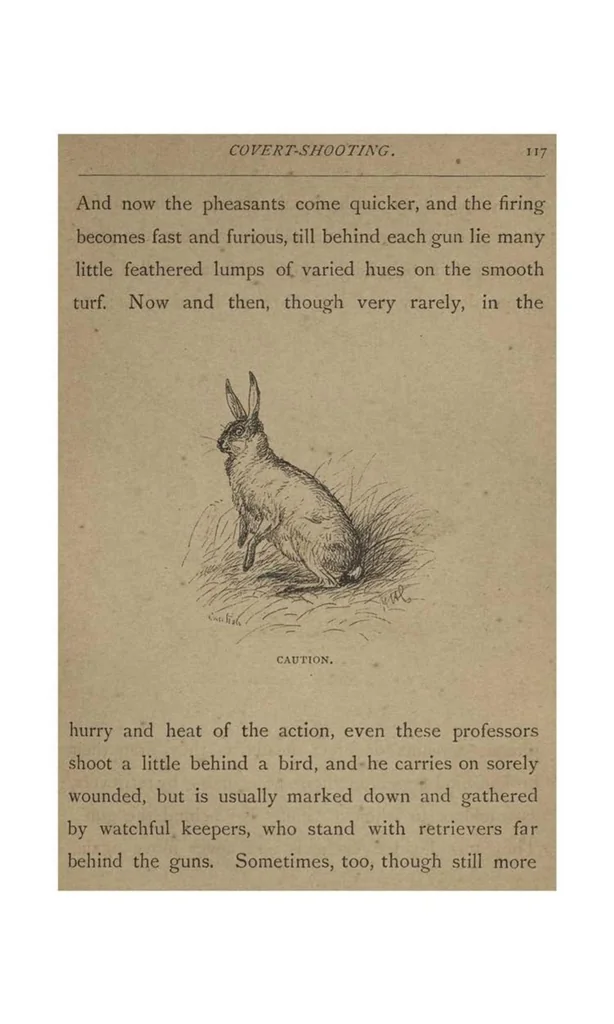 An illustration from Sport; Fox-Huting, Salmon-Fishing, Covert-Shooting, Deer-Stalking, 1885, leaf 158