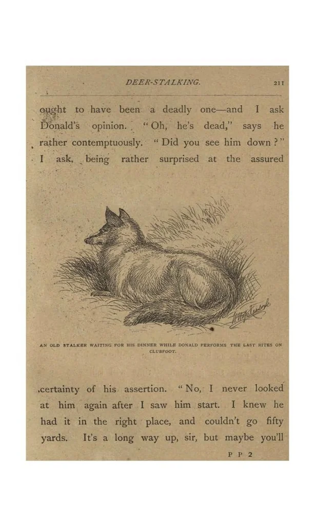 An illustration from Sport; Fox-Huting, Salmon-Fishing, Covert-Shooting, Deer-Stalking, 1885, leaf 262
