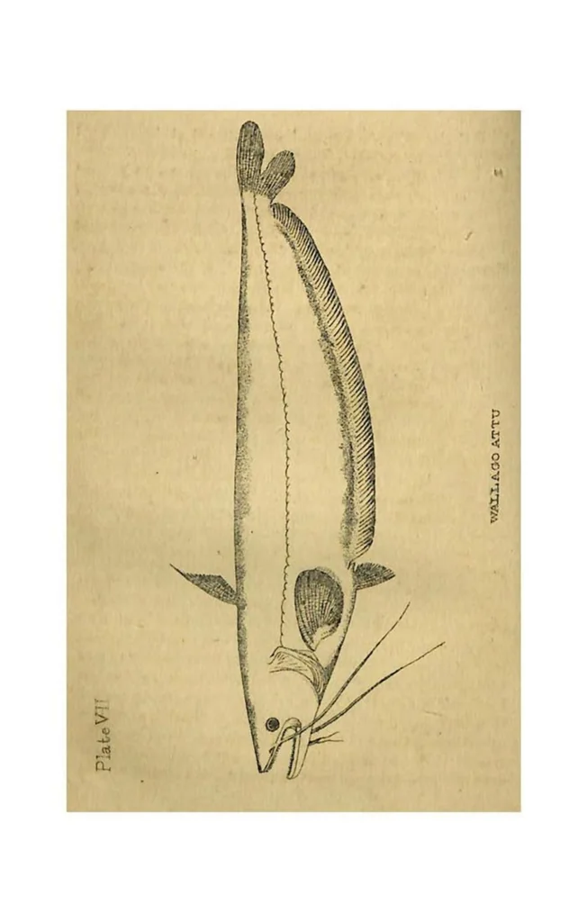 An illustration from Tank Angling in India, 1887, leaf 102