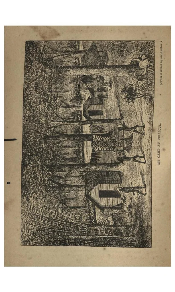 An illustration from Two Years in the Jungle: The Experiences of a Hunter and Naturalist, in India, Ceylon, the Malay Peninsula and Borneo, 1885, leaf 167