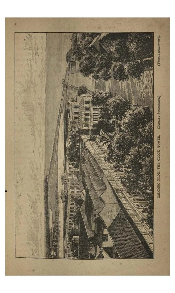 An illustration from Two Years in the Jungle: The Experiences of a Hunter and Naturalist, in India, Ceylon, the Malay Peninsula and Borneo, 1885, leaf 294