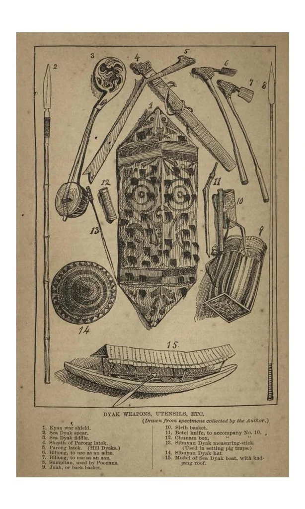 An illustration from Two Years in the Jungle: The Experiences of a Hunter and Naturalist, in India, Ceylon, the Malay Peninsula and Borneo, 1885, leaf 543