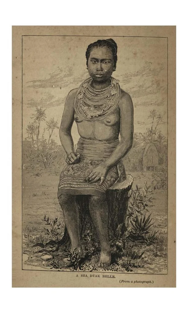An illustration from Two Years in the Jungle: The Experiences of a Hunter and Naturalist, in India, Ceylon, the Malay Peninsula and Borneo, 1885, leaf 569