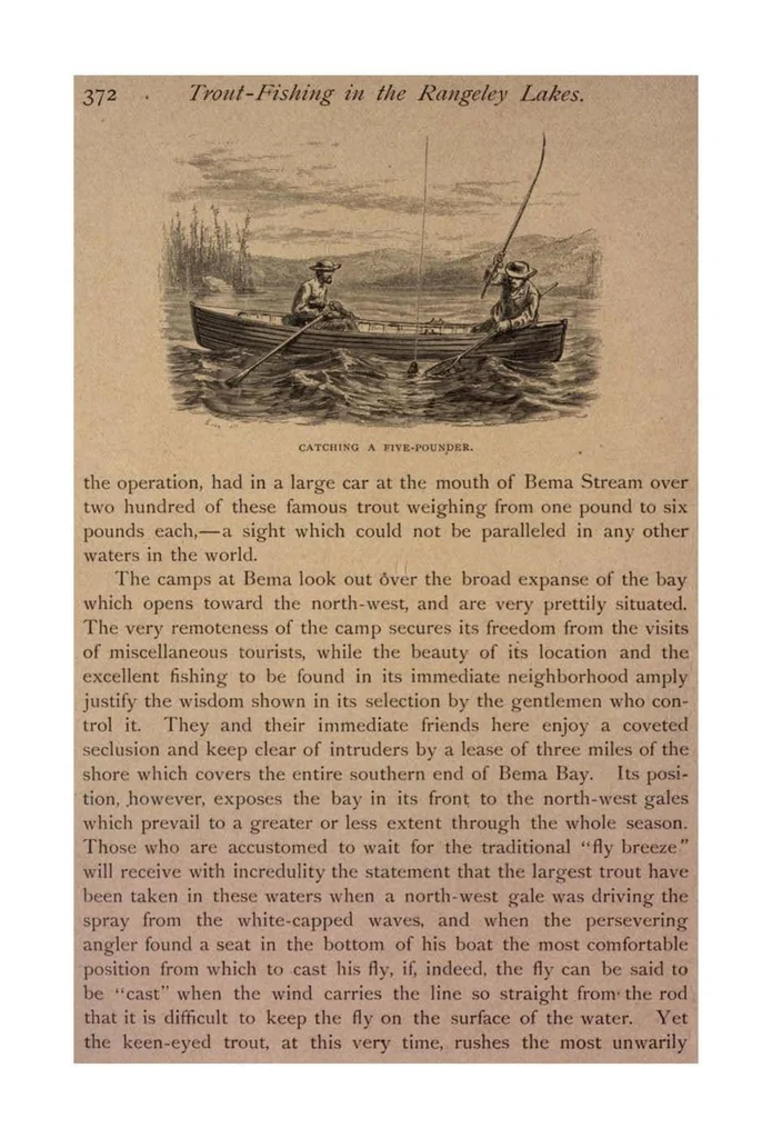 An illustration from Sport with Gun and Rod, in American Woods and Waters, in Two Volumes, Vol. I, 1884, leaf 369