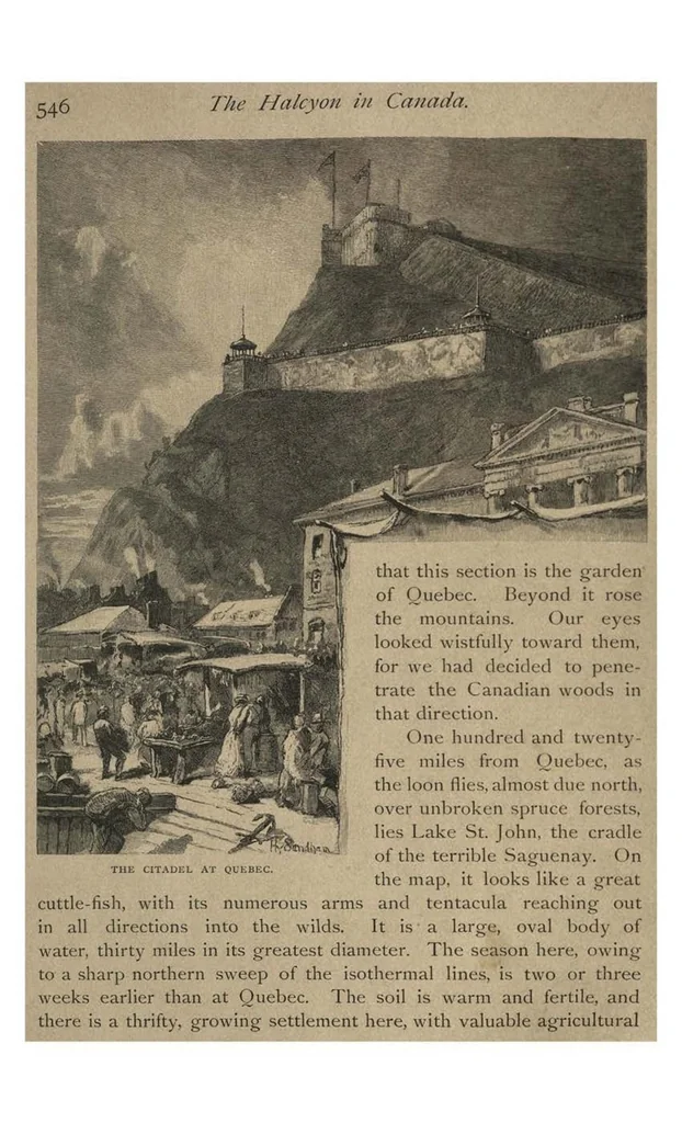 An illustration from Sport with Gun and Rod, in American Woods and Waters, in Two Volumes, Vol. II, 1884, leaf 105