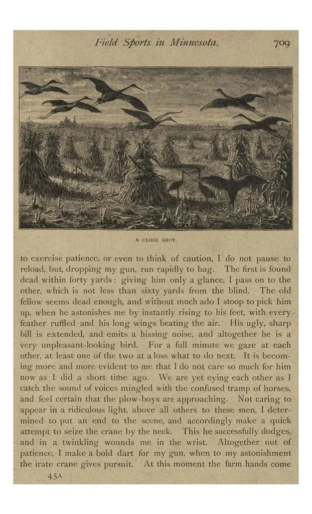 An illustration from Sport with Gun and Rod, in American Woods and Waters, in Two Volumes, Vol. II, 1884, leaf 268