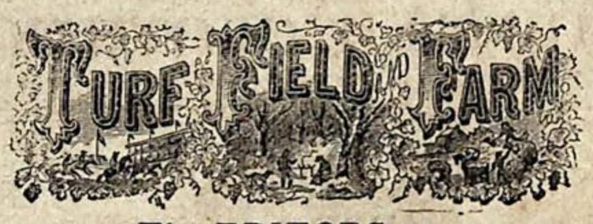 An illustration from Field, Cover and Trap Shooting; embracing hints for skilled Marksmen; instructions for Young Sportsmen; Haunts and Habits of Game Birds; Flight and Resorts of Water Fowl; Breeding and Breaking of Dogs, 1878, leaf 471