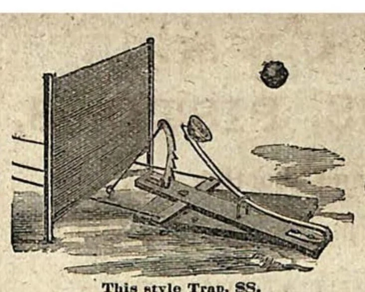 An illustration from Field, Cover and Trap Shooting; embracing hints for skilled Marksmen; instructions for Young Sportsmen; Haunts and Habits of Game Birds; Flight and Resorts of Water Fowl; Breeding and Breaking of Dogs, 1878, leaf 482
