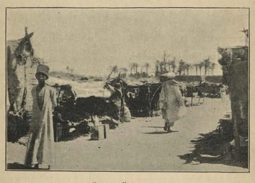 An illustration from Bird Hunting on the White Nile: A Naturalist’s Experiences in the Soudan, 1902, leaf 26