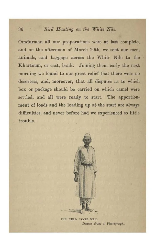 An illustration from Bird Hunting on the White Nile: A Naturalist’s Experiences in the Soudan, 1902, leaf 39