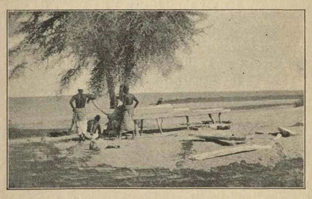 An illustration from Bird Hunting on the White Nile: A Naturalist’s Experiences in the Soudan, 1902, leaf 45