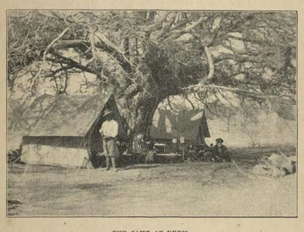 An illustration from Bird Hunting on the White Nile: A Naturalist’s Experiences in the Soudan, 1902, leaf 74