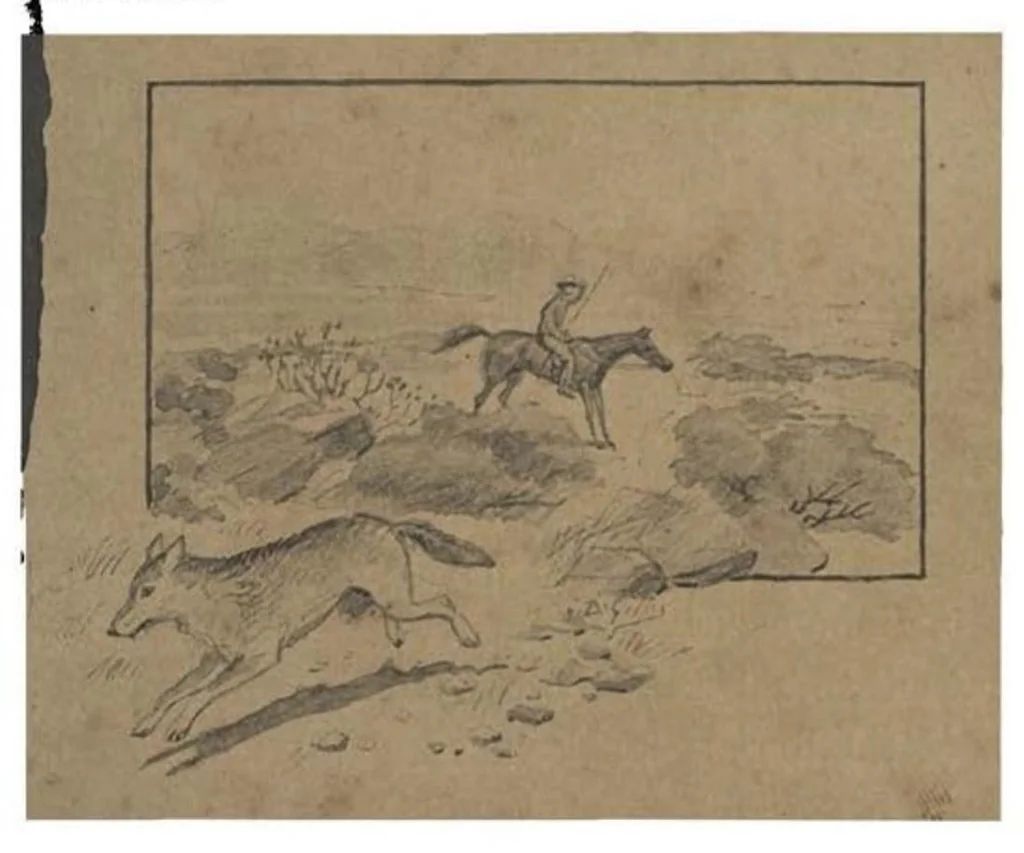 An illustration from Thirty Years of Shikar, 1895, leaf 198