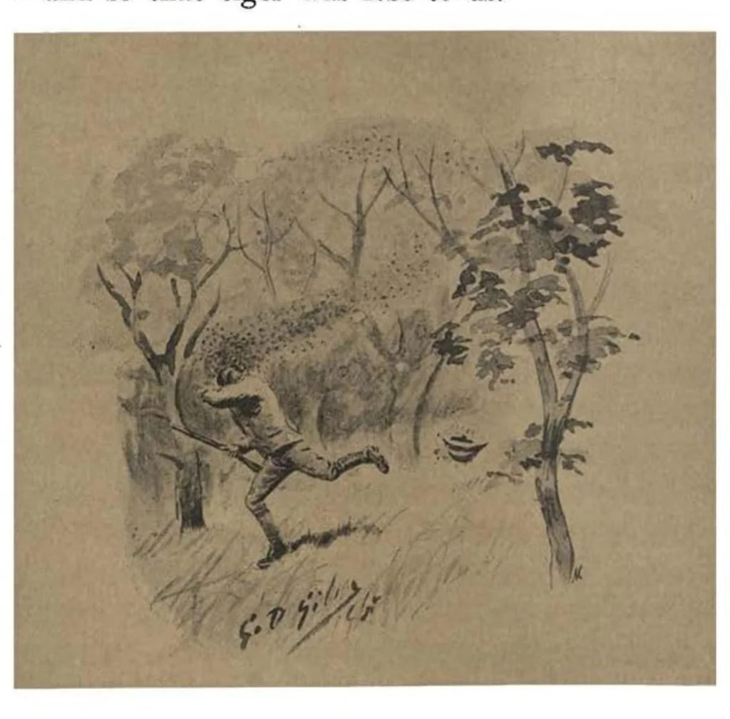An illustration from Thirty Years of Shikar, 1895, leaf 277