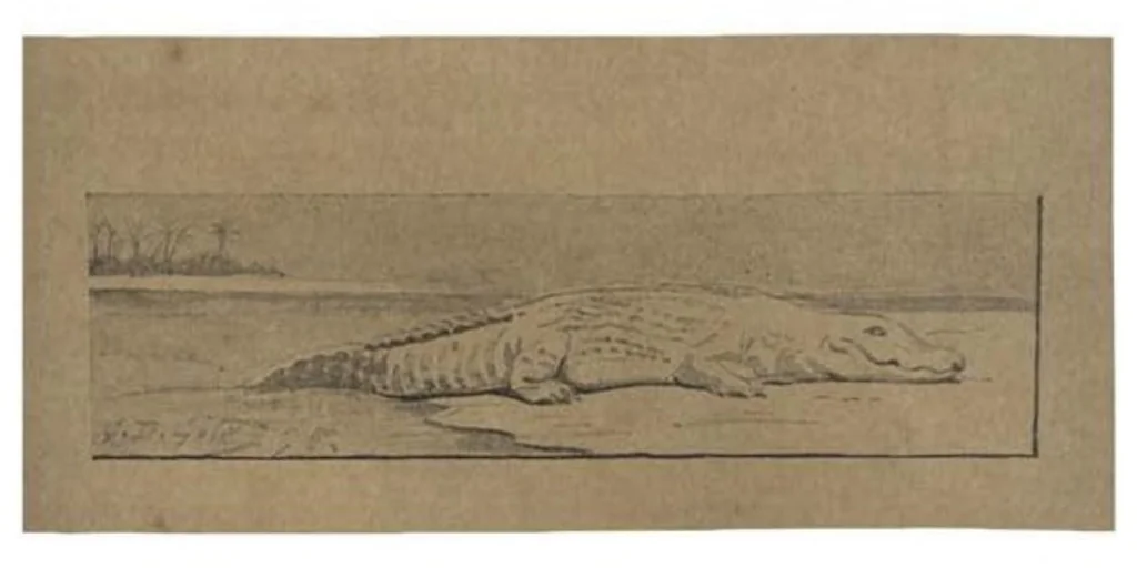 An illustration from Thirty Years of Shikar, 1895, leaf 287