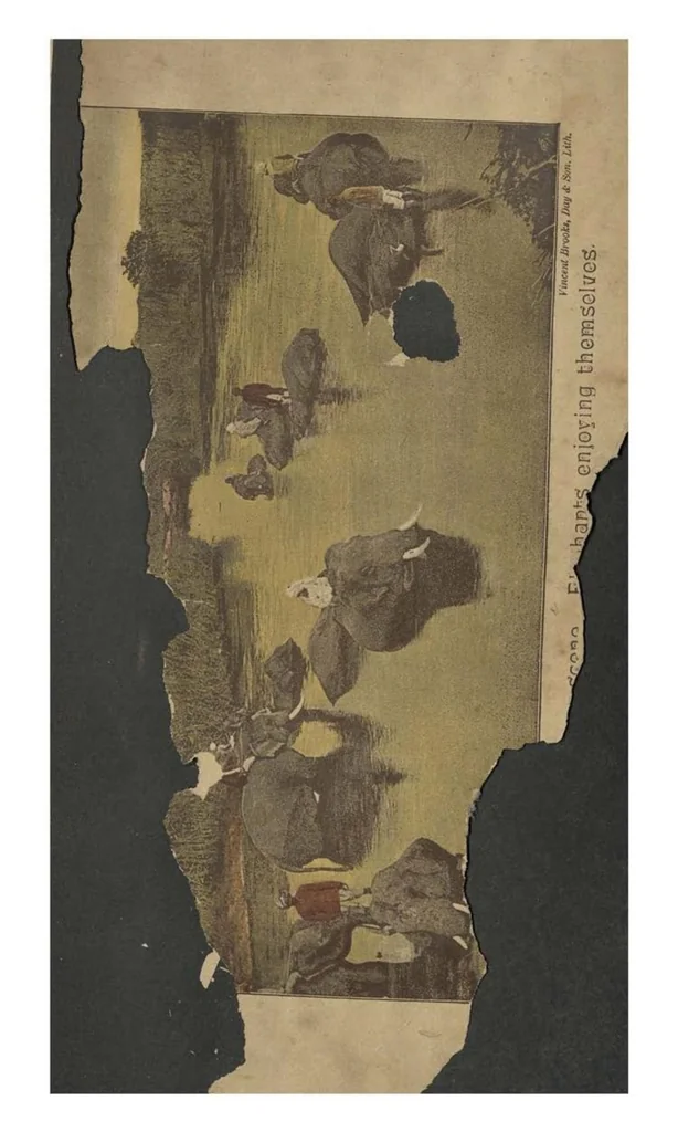 An illustration from Tent Life in Tigerland with which is incorporated Sport and Work on the Newpaul Frontier; Twelve Years Sporting Reminiscences of a Pioneer Planter in an Indian Frontier District, 1888, leaf 382