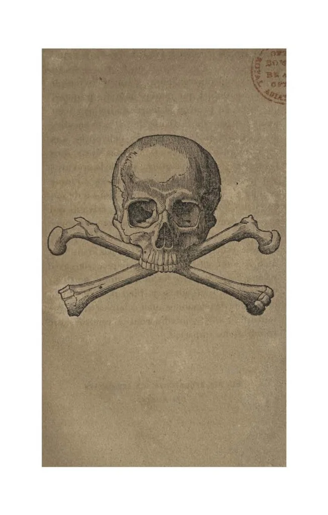 An illustration from Recherches Historiques et Litteraires sur les Danses des Morts et sur l’origine des Cartes a Jouer, 1826, leaf 266