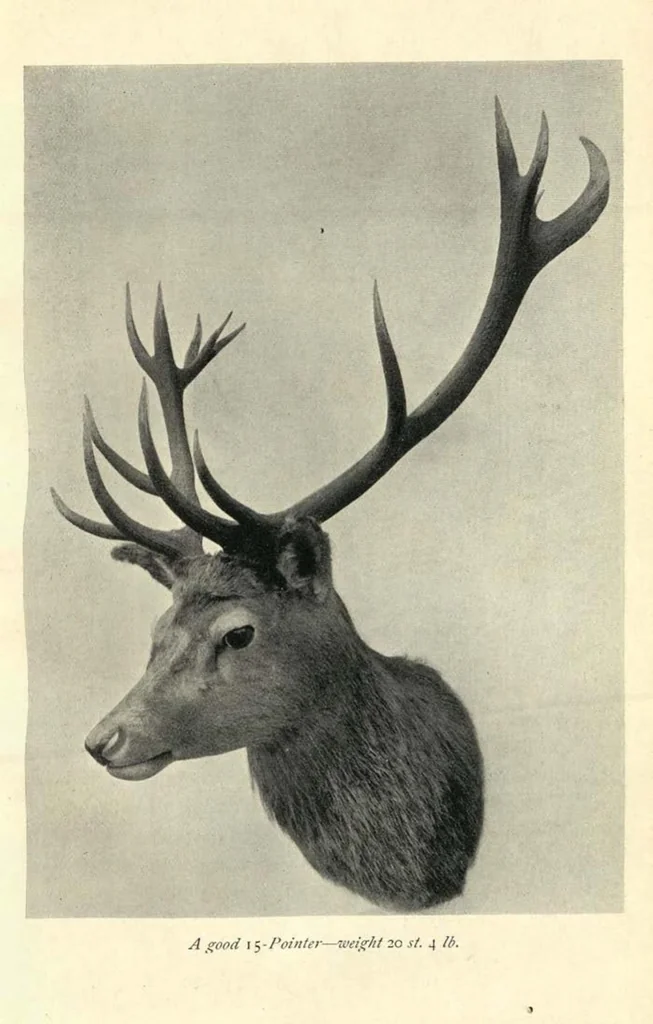 An illustration from Wild Sport and Some Stories, 1912, leaf 170