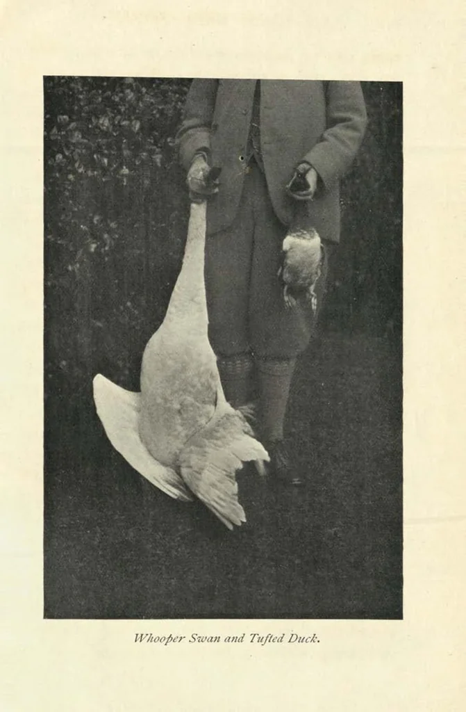 An illustration from Wild Sport and Some Stories, 1912, leaf 194