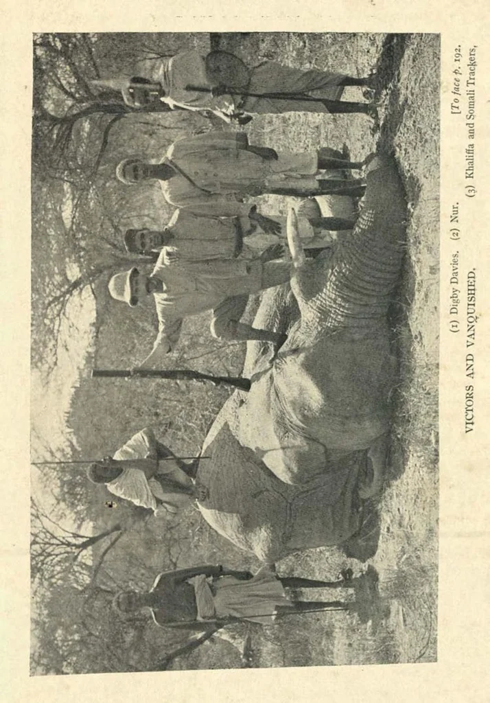 An illustration from Tiger Slayer by Order (Digby Davies, Late Bombay Police), 1915, leaf 256
