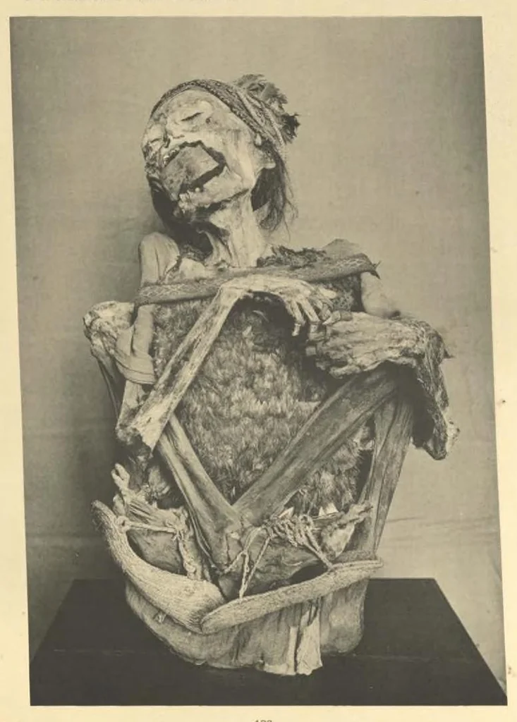 An illustration from Galerie Americaine du Musee d’Ethnographie du Trocadero; Choix de Pieces Archeologiques et Ethnographiques, 1897, leaf 84