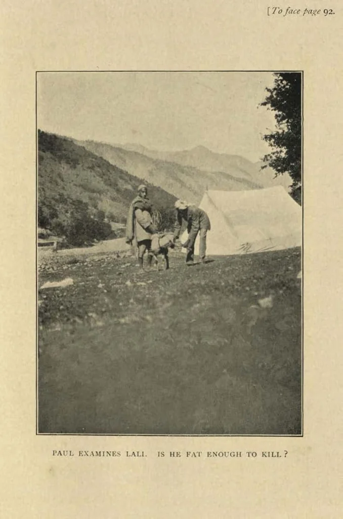 An illustration from The Markhor, Sport in Cashimere; translated from the German, 1910, leaf 112