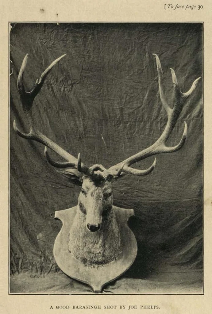 An illustration from The Markhor, Sport in Cashimere; translated from the German, 1910, leaf 44