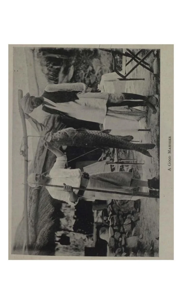 An illustration from The Sportsman’s Book for India, 1904, leaf 281