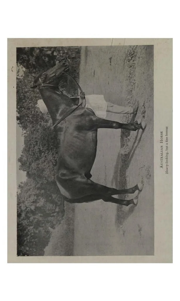 An illustration from The Sportsman’s Book for India, 1904, leaf 383