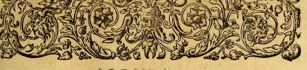 An illustration from Indiae Orientalis pars X. Qua continetur, Historica relatio siue descriptio novi as Aquilonem transitus, supra terras Americanas in Chinam atq[ue] Iaponem ducturi, quemadmodum is ab Henrico Hudsono Anglo nuper inuentis est, addita breui insularum & locorum aliorum, in itinere isto occurrentium, ex Iohannis-Hugonis Lintschottani itineratio desumpta commemoratione. : Item discursus ad sereniss. Hispaniae regem, super detecta nuper quinta orbis parte, terra nempè Australis incognita, à capitaneo quodam Petro-Ferdinando de Quir, &c. conscriptus. Addita descriptione regionum Siberiae, Samoiediae atque Tingoesiae, in Tartaria versus ortum freti Weigatsii sitarum, quae nuper à Moscis detectae &c occupatae sunt., 1613, leaf 39