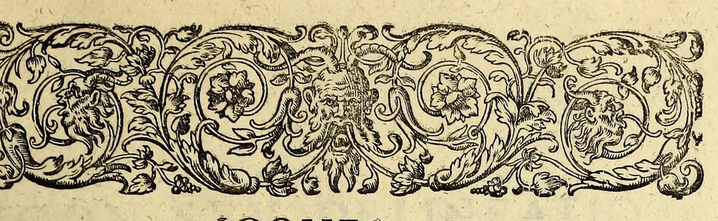 An illustration from Indiae Orientalis pars X. Qua continetur, Historica relatio siue descriptio novi as Aquilonem transitus, supra terras Americanas in Chinam atq[ue] Iaponem ducturi, quemadmodum is ab Henrico Hudsono Anglo nuper inuentis est, addita breui insularum & locorum aliorum, in itinere isto occurrentium, ex Iohannis-Hugonis Lintschottani itineratio desumpta commemoratione. : Item discursus ad sereniss. Hispaniae regem, super detecta nuper quinta orbis parte, terra nempè Australis incognita, à capitaneo quodam Petro-Ferdinando de Quir, &c. conscriptus. Addita descriptione regionum Siberiae, Samoiediae atque Tingoesiae, in Tartaria versus ortum freti Weigatsii sitarum, quae nuper à Moscis detectae &c occupatae sunt., 1613, leaf 39