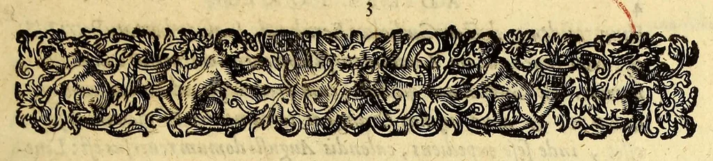 An illustration from Indiae Orientalis pars X. Qua continetur, Historica relatio siue descriptio novi as Aquilonem transitus, supra terras Americanas in Chinam atq[ue] Iaponem ducturi, quemadmodum is ab Henrico Hudsono Anglo nuper inuentis est, addita breui insularum & locorum aliorum, in itinere isto occurrentium, ex Iohannis-Hugonis Lintschottani itineratio desumpta commemoratione. : Item discursus ad sereniss. Hispaniae regem, super detecta nuper quinta orbis parte, terra nempè Australis incognita, à capitaneo quodam Petro-Ferdinando de Quir, &c. conscriptus. Addita descriptione regionum Siberiae, Samoiediae atque Tingoesiae, in Tartaria versus ortum freti Weigatsii sitarum, quae nuper à Moscis detectae &c occupatae sunt., 1613, leaf 9