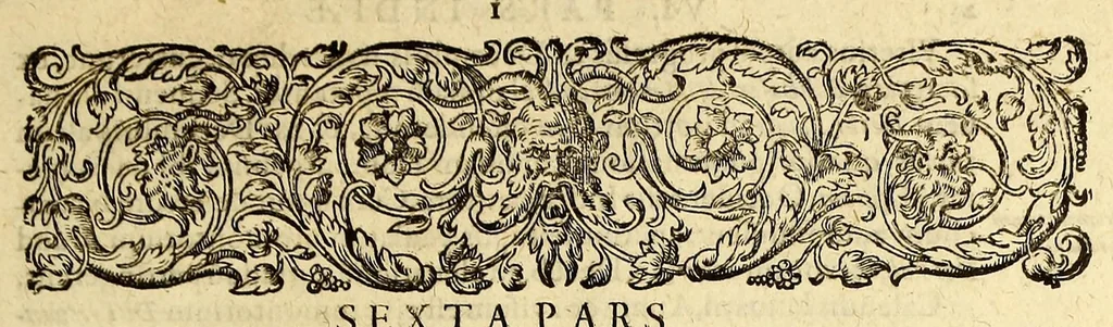 An illustration from Indiae Orientalis pars VI. Veram et historicam descriptionem auriferi regni Guineae, ad Africam pertinentis, quod alias littus de Mina vocant, : continens, qua situs loci, ratio vrbium & domorum, portus item & flumina varia, cum variis incolarum superstitionibus, educatione, forma, commerciis, linguis & moribus, succincta breuitate explicantur & percensentur., 1604, leaf 15
